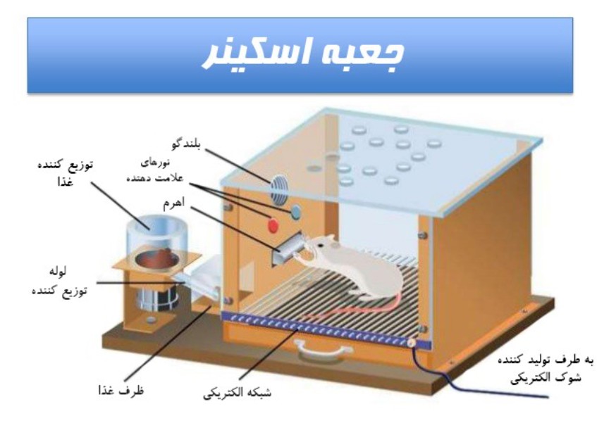 جعبه اسکینر